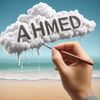 ahmed.w219