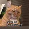 inifukaccount