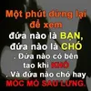 dy6jhdttnbih