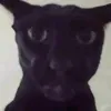 joseph.jojo740