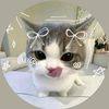 erninew_3