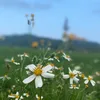 96sun03