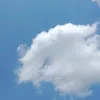 penantian_lama