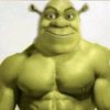 anjell_499