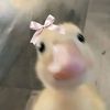vivi_suka_bebek