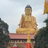 timorlester