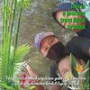 user7374011785460