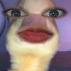 pastagigiggle_