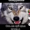 95_nochho_95
