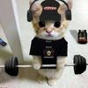 mahir_clk