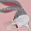 morocha✨️