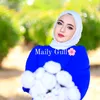 mailygull_