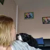 momcatsanddogs76