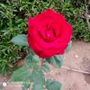 user5002823910069