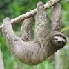 slothy083