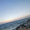 layalino15