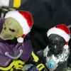 figuresspider