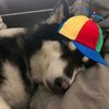 _lykos3