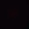 user.222000445