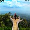 krupukudang_dang