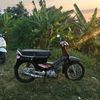 dewa_3039