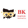 Bright Kids Educational Toys