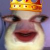 sieeeeaj