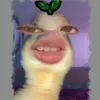 _ml246