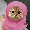 myouimal