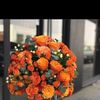 mno_143