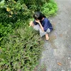 _ngoctran_2010