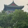 beo_khongngheo