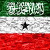 abdihafid_ahmed