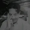 sepinsan8