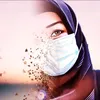 zulfaukash