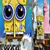 popa_809