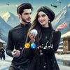 zidilarki659