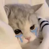 ngocsocola310