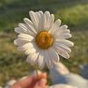 آيــــــ🌼ـــــــة