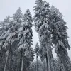 meganeemre13