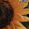 okcwrites