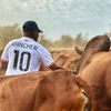 thee_rancher
