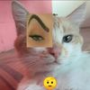 estefany.kb