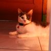 bitmad0304