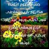 user7328411439394