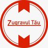 Zugravul Tău