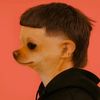 _guanaco_88