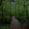 samnaturephotography