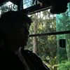 lwlwlwlwl12