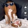iwearbrown